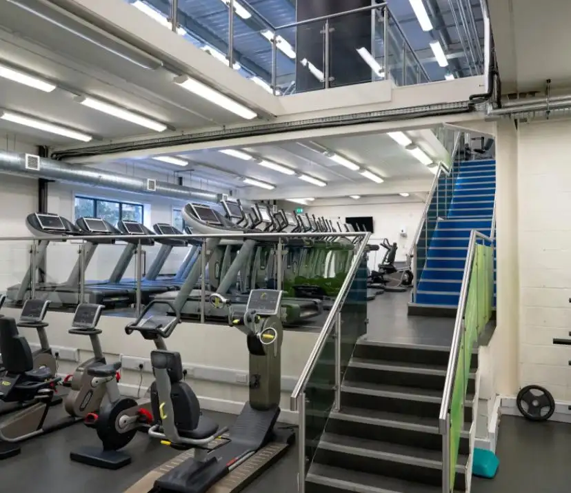 Gyms & KTV